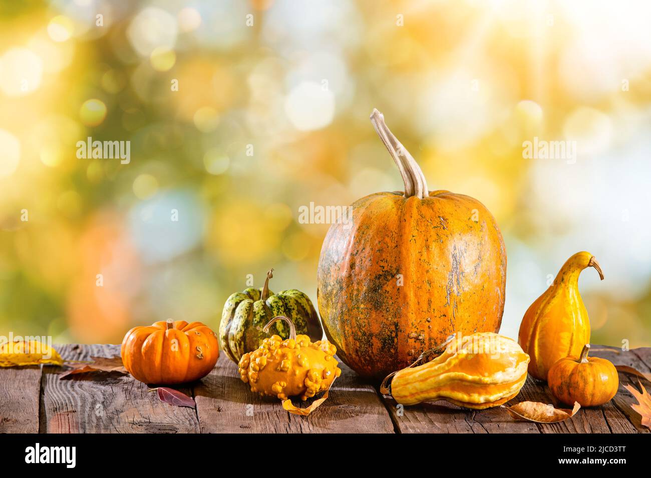 Herbstrahmen mit Kürbissen auf Holztisch und orangefarbenen Blättern Stockfoto
