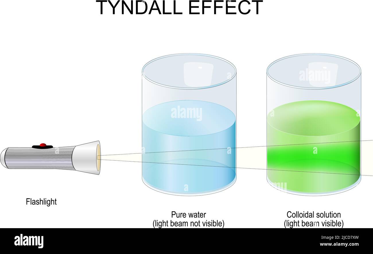 Tyndall-Effekt. Wissenschaft experimentieren mit zwei Gläsern mit Flüssigkeiten und Taschenlampe. Lichtstrahl in reinem Wasser ist nicht sichtbar, in kolloidaler Lösung Licht Stock Vektor