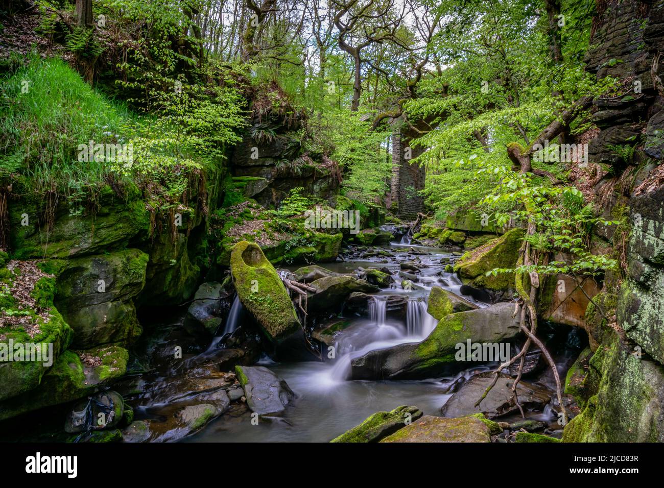 Healey Dell Nature Reserve Stockfoto