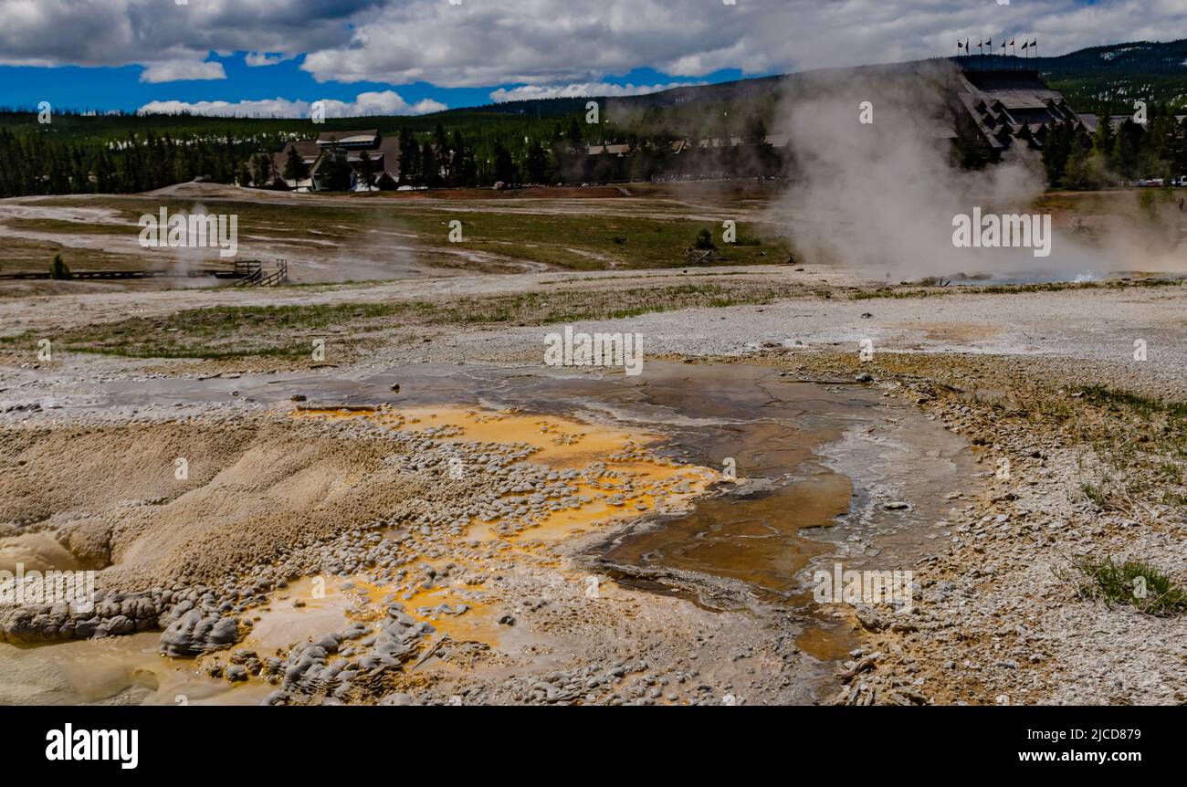 Algen-bakterielle Matten. Heiße Thermalquelle, heißer Pool im Yellowstone NP. Wyoming, USA Stockfoto