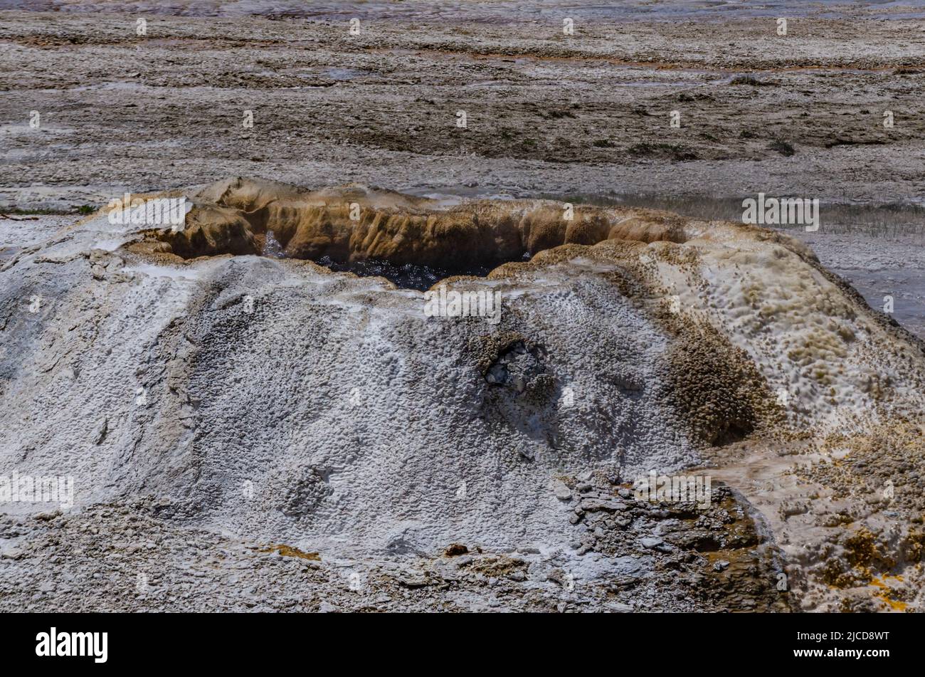 Kochender Wassersprudelgeysir. Aktiver Geysir mit großen Eruptionen. Yellowstone NP, Wyoming, USA Stockfoto