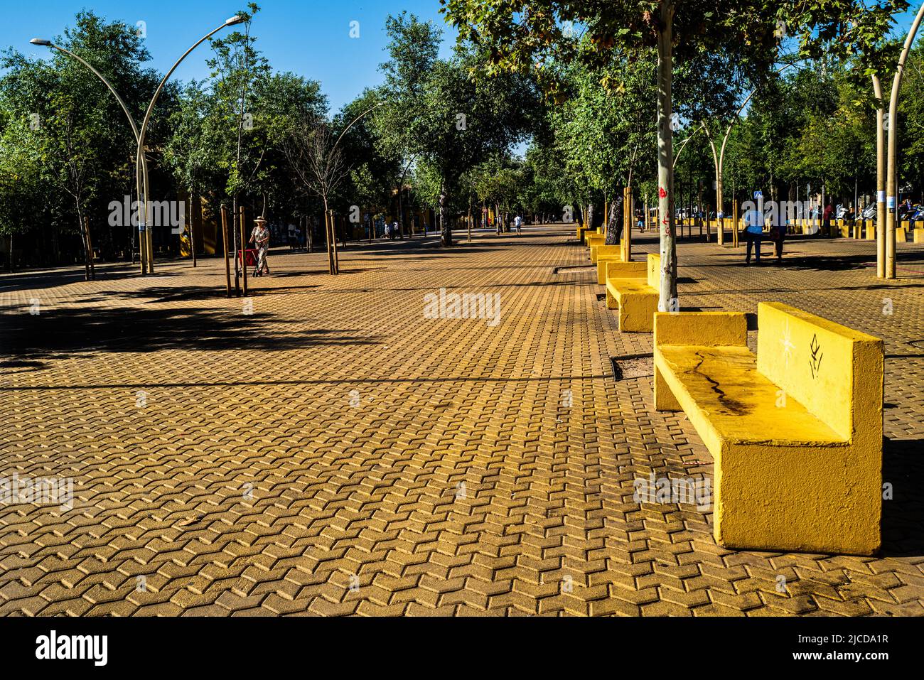 Macarena, Sevilla, Spanien -- 11. Juni 2022. Eine Weitwinkelaufnahme des Parks Alameda de Hércules im Macarena-Teil von Sevilla, Spanien. Stockfoto Macarena, Sevilla, Spanien -- 11. Juni 2022. Eine Weitwinkelaufnahme des Parks Alameda de Hércules im Macarena-Teil von Sevilla, Spanien. Stockfoto