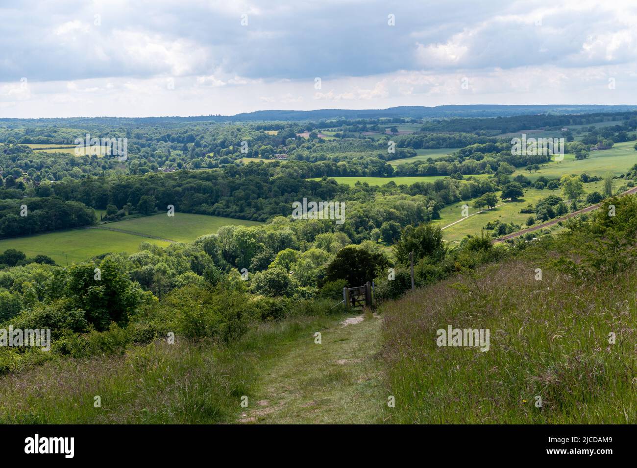 Blick auf den Denbies Hillside in den North Downs in der Nähe von Dorking, Surrey, England, Großbritannien, im Juni oder Frühsommer Stockfoto
