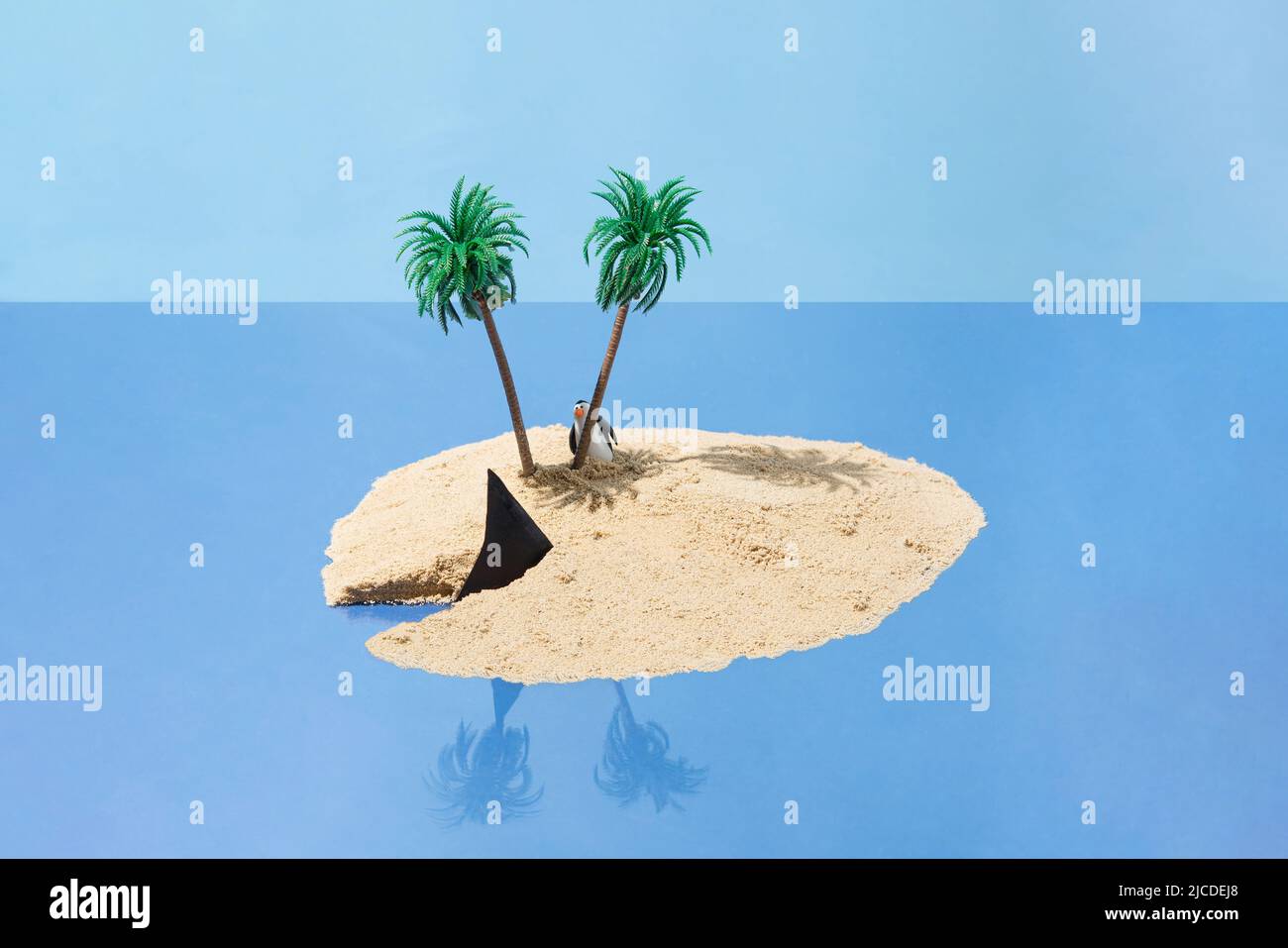 Ein Pinguin auf einer tropischen Insel hinter einer Palme beobachtet eine Haiflosse. Studioaufnahme. Minimalkonzept für den Sommer. Rechteck-Layout mit Kopierbereich Stockfoto