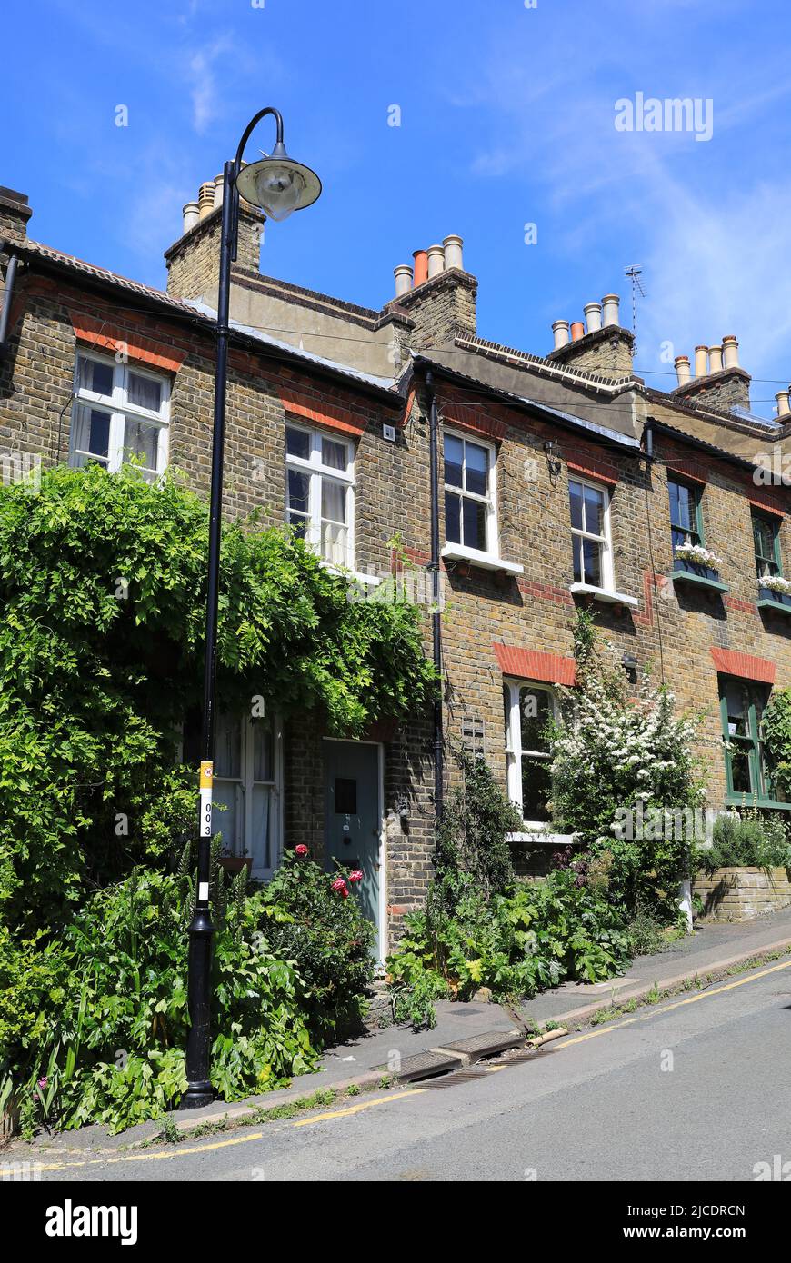 Wohnhäuser an der Haynes Lane, an der Westow Street, in Crystal Palace, South London, Großbritannien Stockfoto