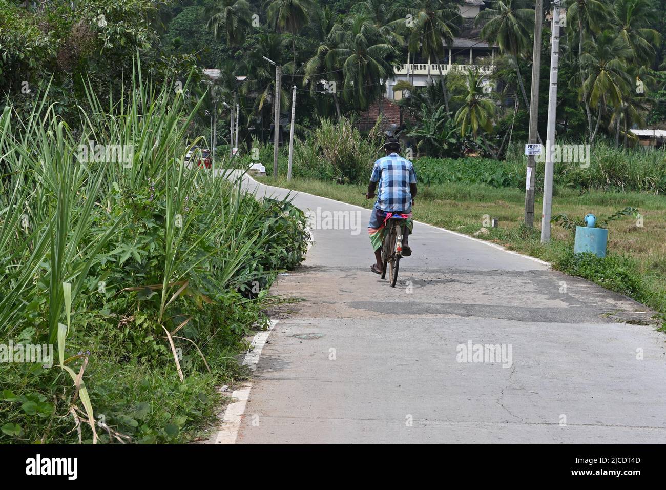 Horana, Kalutara District, Sri Lanka February 25 2022: Ein reifer Mann, der auf einer Betonstraße mit dem Fahrrad fährt, Blick von hinten Stockfoto