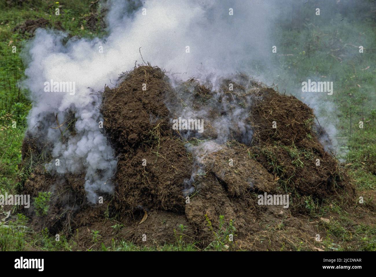 Herstellung von Holzkohle zum Kochen in ländlichen Häusern in Ruanda. Eukalyptusstämme werden über sie mit Erde bedeckt gesetzt und das Holz schwelt und erzeugt Holzkohle. Stockfoto