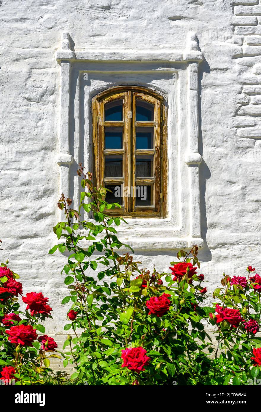 Fenster des Hauses und rote Rosenblumen in Kasan Kreml, Russland. Vintage Fenster in alter weißer Außenwand im Sommer. Konzept der Behausung, Öko, gemütlich ho Stockfoto