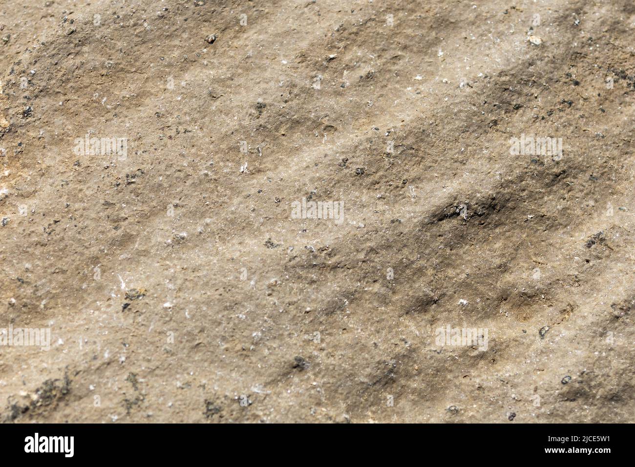 Oberflächenstruktur eines Felsens. Hintergrund der Steinoberfläche Stockfoto