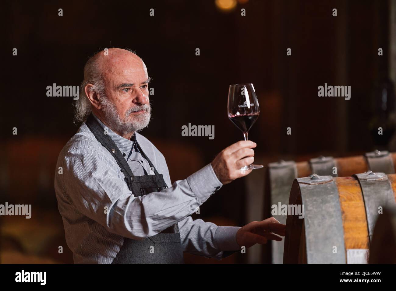 Alter älterer Graubart-Winzer, der Rotwein verkostet, um seine Qualität und seinen Geschmack zu ermitteln, steht in der Nähe eines großen Eichenfasses Stockfoto