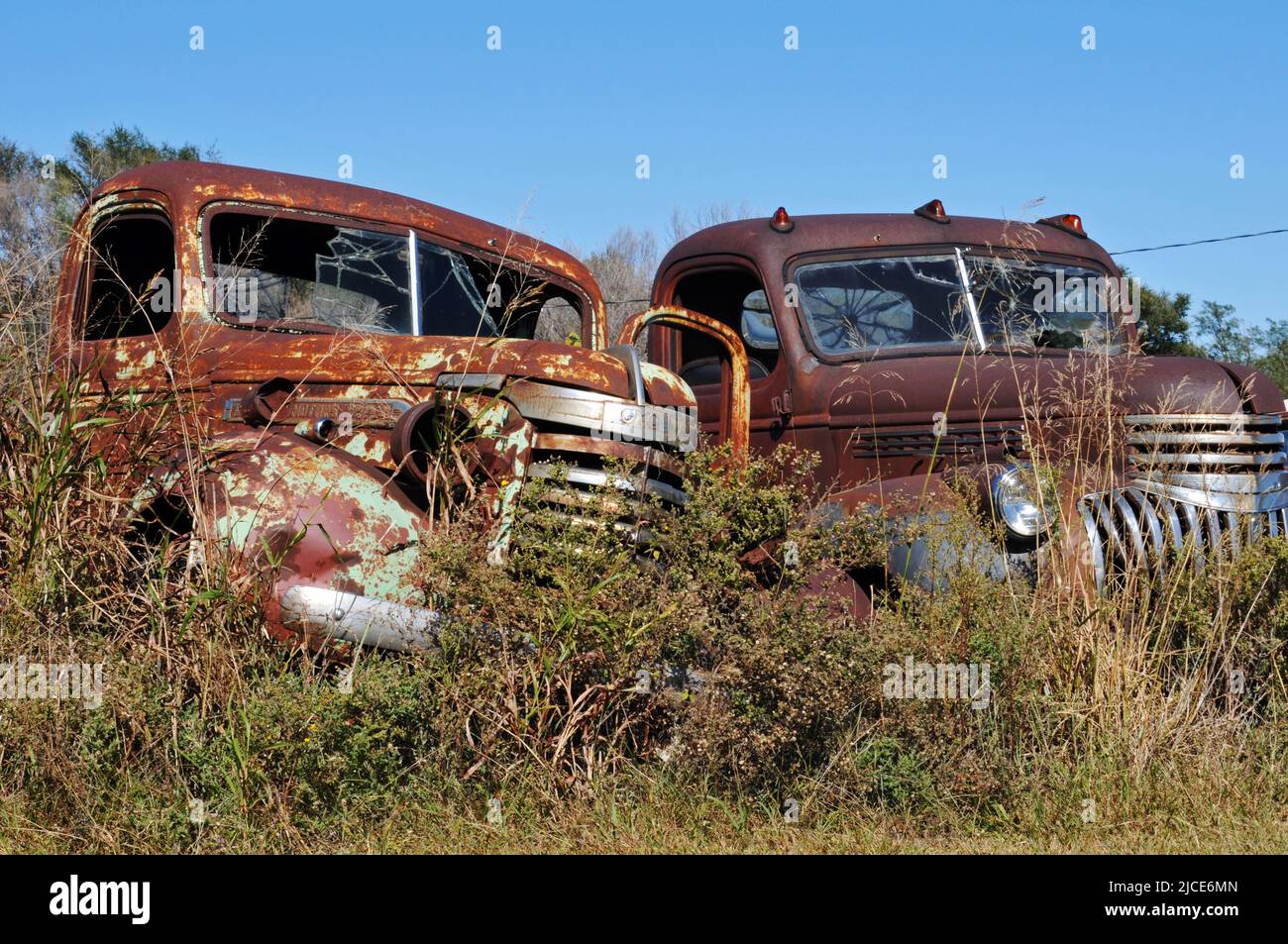 Auf einem Feld an der historischen Route 66 in der Nähe von Erick, Oklahoma, stehen alte Lastwagen stehen gelassen. Stockfoto