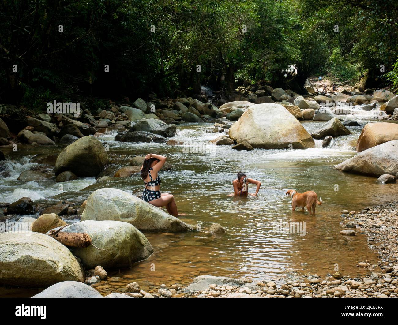 Cisneros, Antioquia, Kolumbien - 20. Februar 2022: Zwei Freundinnen am Fluss, die sich gegenseitig Bilder machen und einen Hund mitten in der Natur Stockfoto