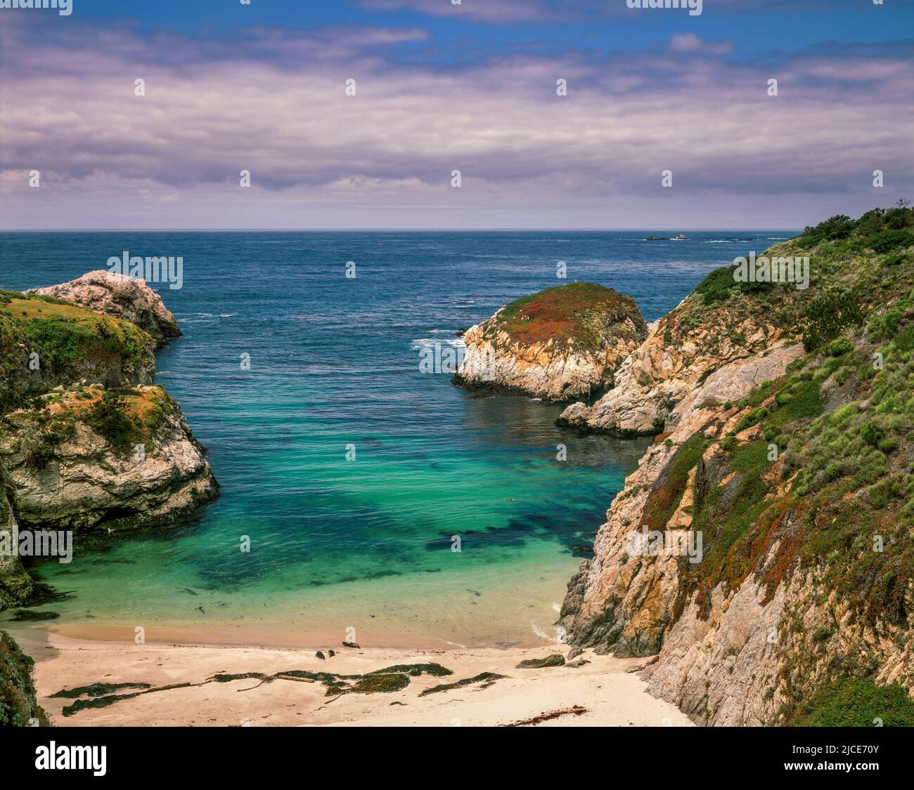 China Cove, Point Lobos State Reserve, Big Sur, Monterey County, Kalifornien Stockfoto
