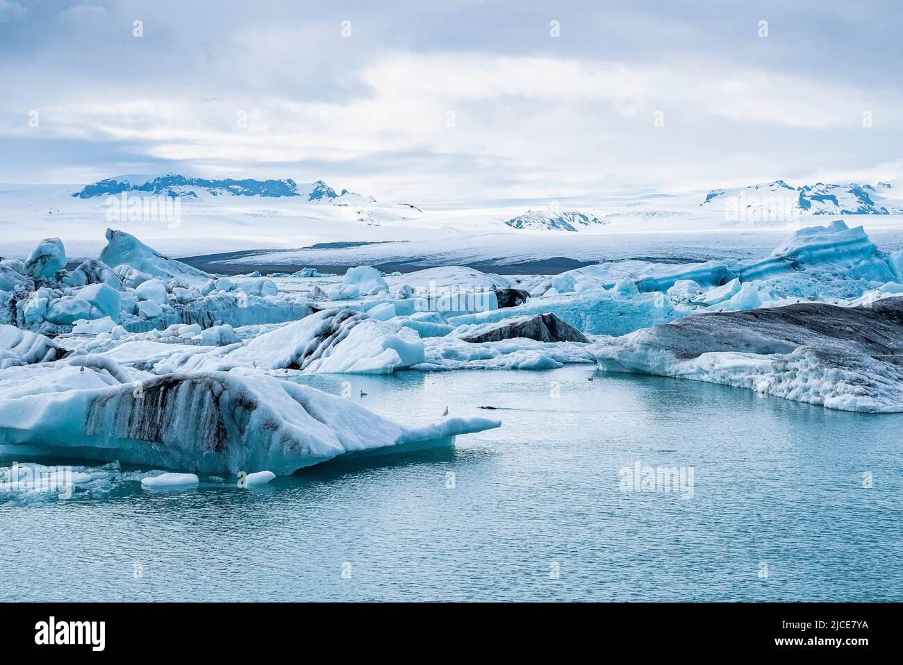 Wunderschöne Eisberge, die in der Jokulsarlon Gletscherlagune im polaren Klima schwimmen Stockfoto