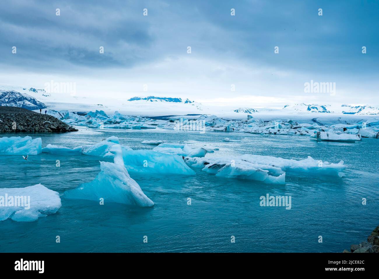 Wunderschöne Eisberge, die in der Jokulsarlon Gletscherlagune im polaren Klima schwimmen Stockfoto