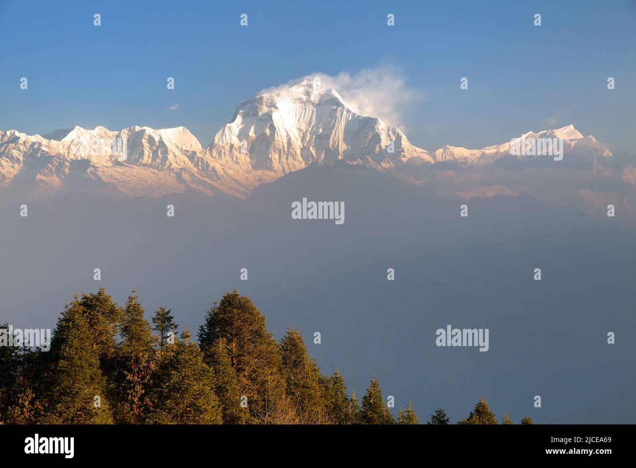 Am Morgen Panoramablick auf den Mount Dhaulagiri vom Aussichtspunkt Poon Hill, Nepal Stockfoto