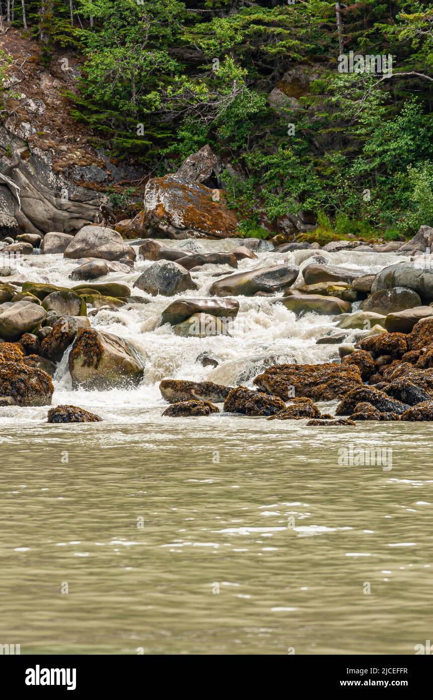 Skagway, Alaska, USA - 20. Juli 2011: Taiya Inlet über Chilkoot Inlet. Nahaufnahme der Küste, wo der Wasserfall rapis weißes Wasser in den grünen Einlass abgibt. Stockfoto