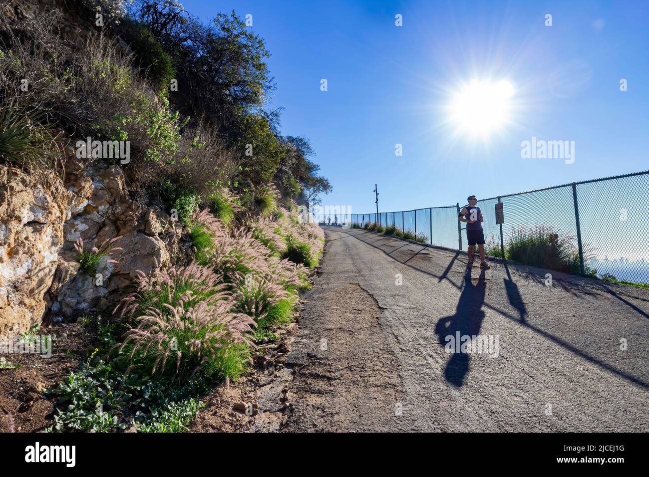 Los Angeles, FEB 2 2015 - Menschen wandern auf dem Hollywood Hills Trail Stockfoto