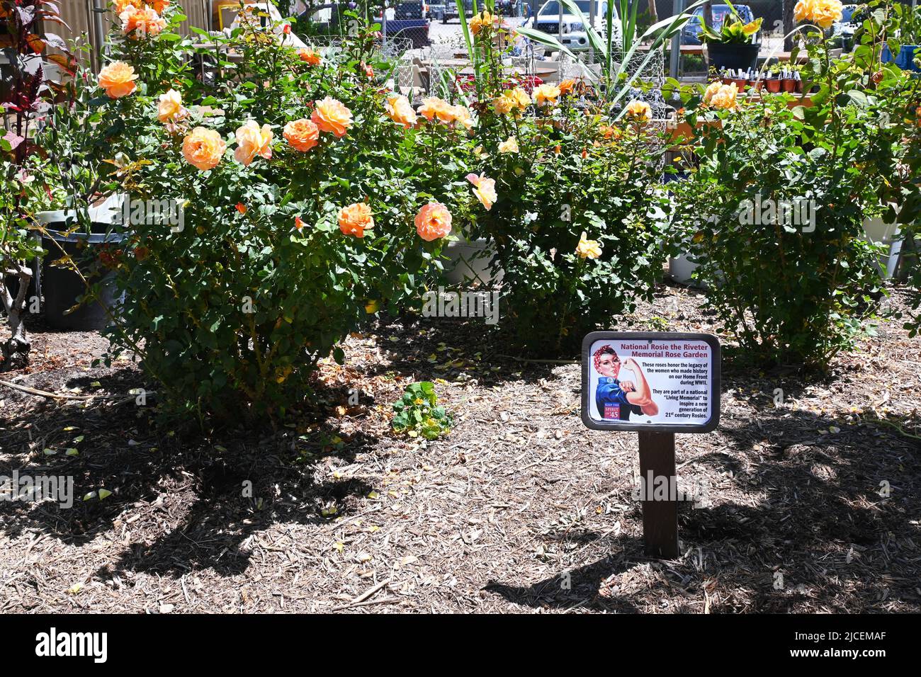 IRVINE, KALIFORNIEN - 1 JUN 2022: National Rosie The Rivier Memorial Rose Garden im Food and Farm Lab im Orange County Great Park. Stockfoto