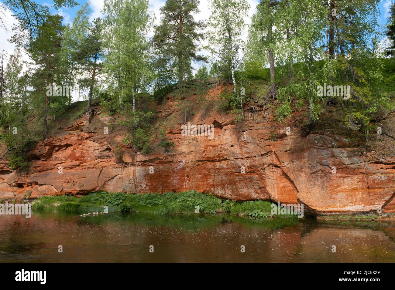 Devonischer Felsen am Fluss Oredezh am Juninachmittag. Siversky, Region Leningrad, Russland Stockfoto