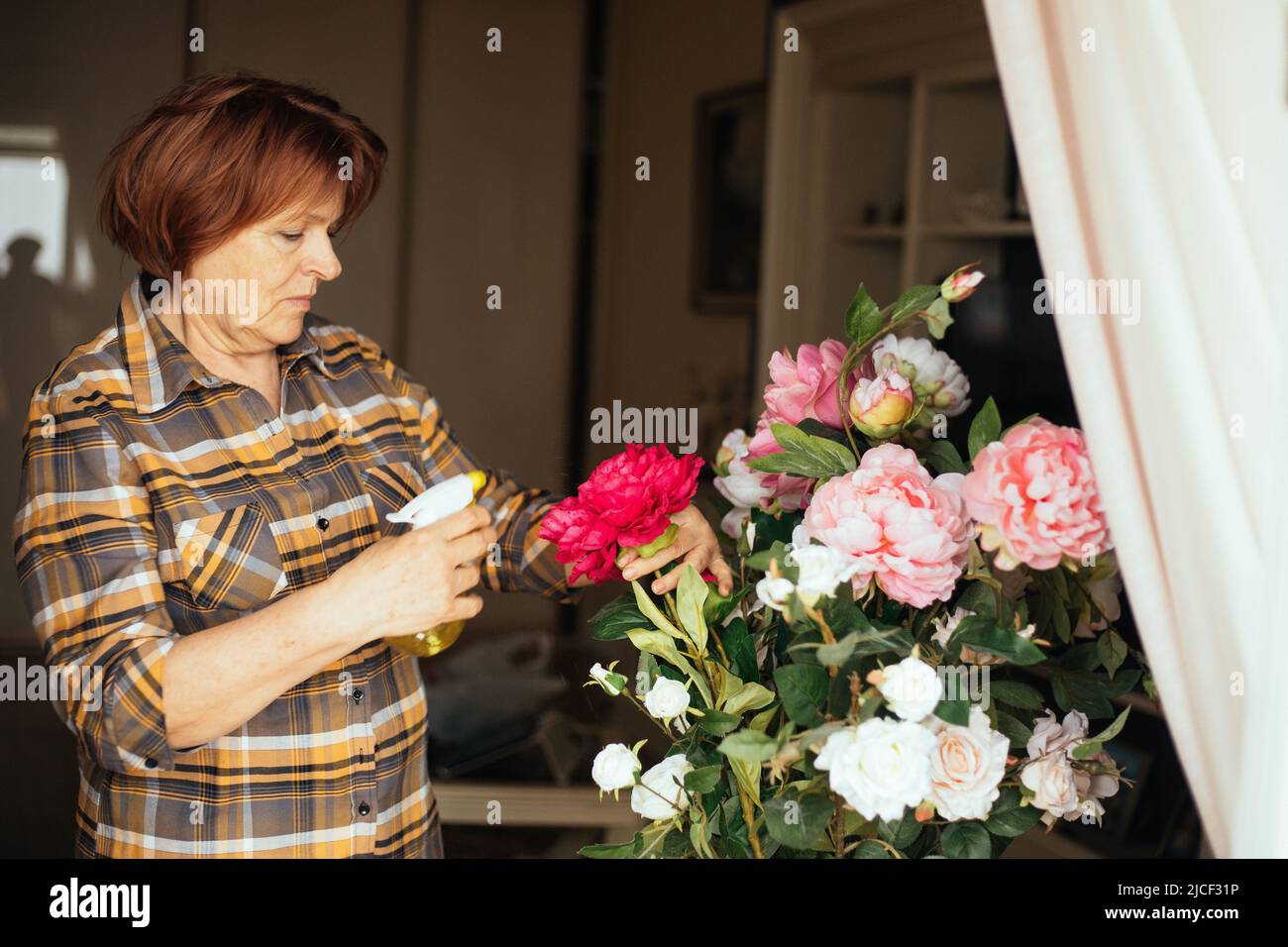 Aktive konzentrierte ältere Frau genießen den Ruhestand, Gärtner kümmert sich um Pfingstrosen und Rosenblumen, Bewässerung, Spritzen. Stockfoto