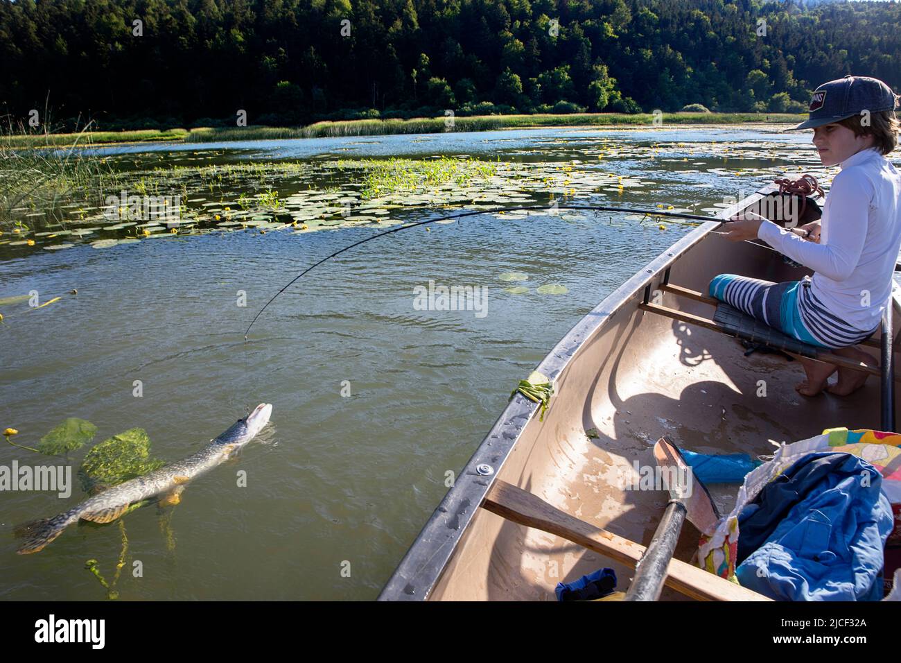 Junge, die aus einem Kanu angeln und einen riesigen Hecht am See Cerknica fangen, einem der größten intermittierenden Seen in Europa, Slowenien Stockfoto