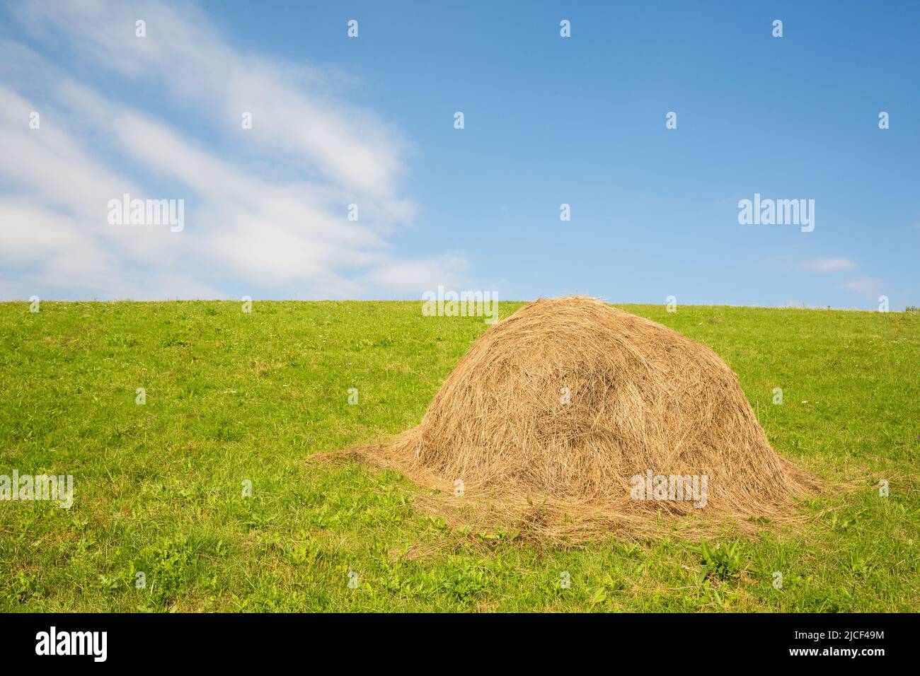 Heuhaufen auf einer Weide. Symbol für ökologischen Landbau und Landwirtschaft. Blauer Himmel. Stockfoto