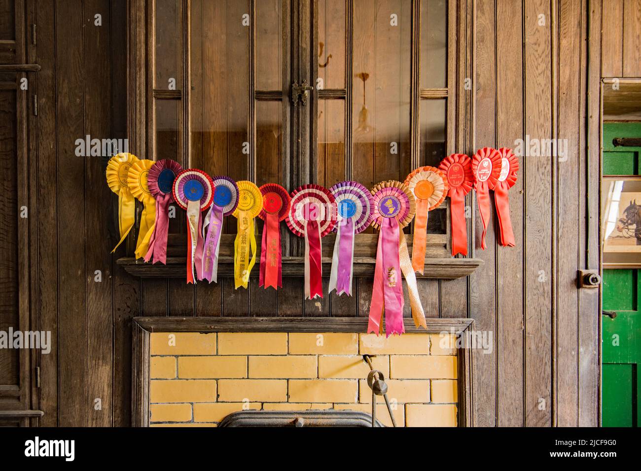 Eine stolze Präsentation von Rosetten auf der Open Farm Sonntag, 10.. Juni 2022, auf der Cappleside Farm, Rathmell, Yorkshire (zeigt britische Landwirtschaft). Stockfoto