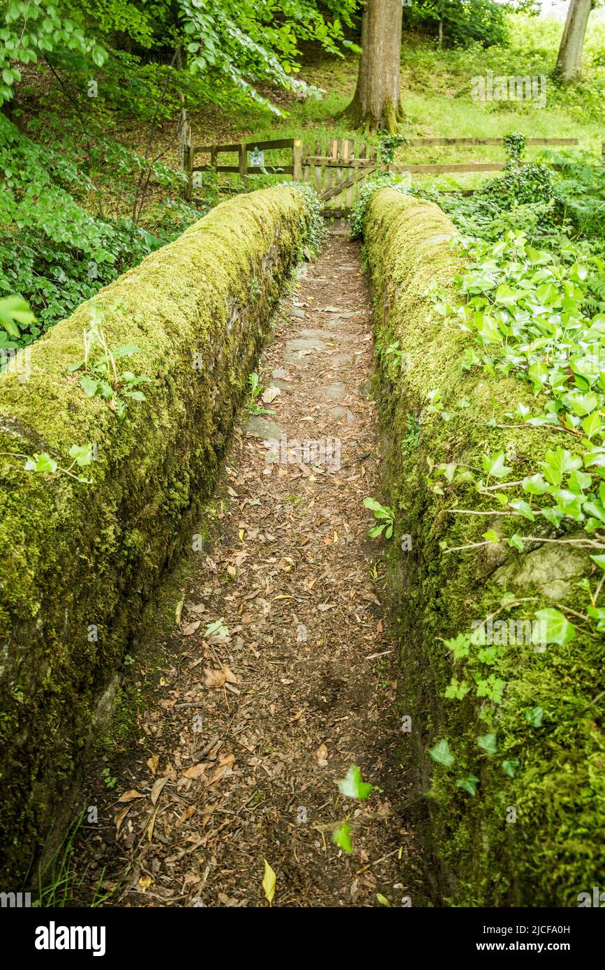 Lumb Brig auf dem Farm Trail auf der Open Farm Sonntag, 10.. Juni 2022 auf der Cappleside Farm, Rathmell, Yorkshire, präsentiert britische Landwirtschaft. Stockfoto