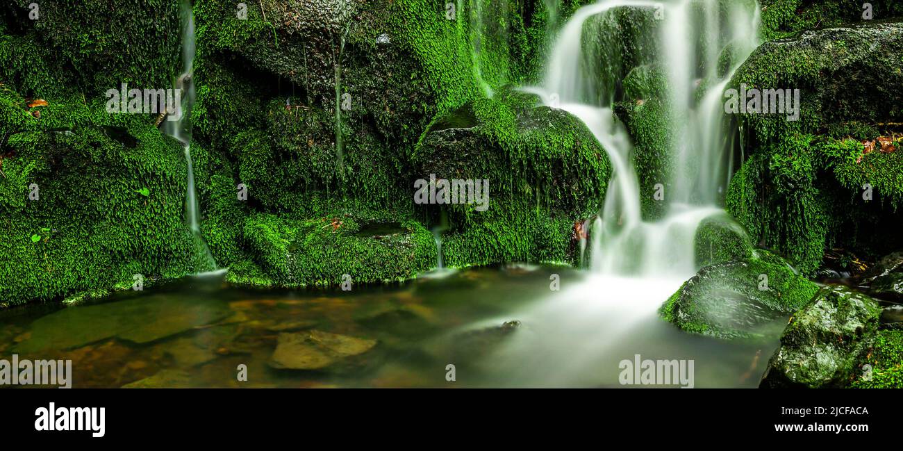 Grüner Wasserfall im Wald Stockfoto