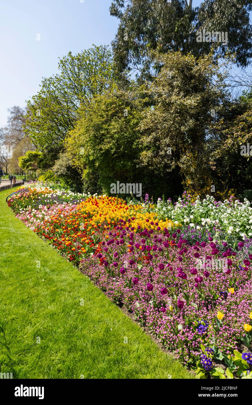 England, London, St.James's Park, Sommerblumen in Blüte Stockfoto