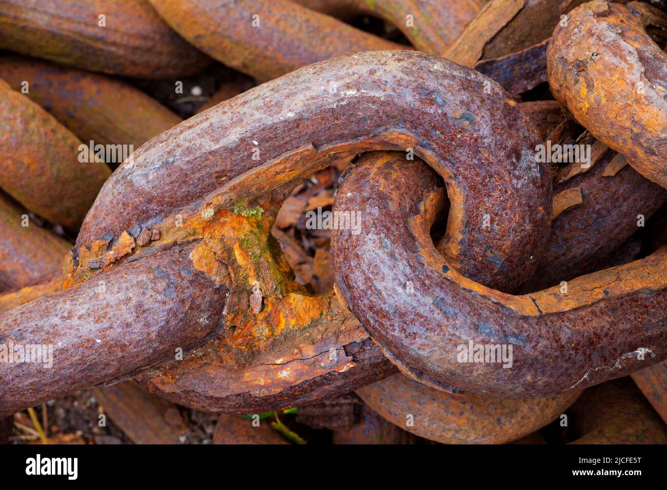 Corroded Ship's Chain Links, Zuidersee Museum, Enkhuizen, Nordholland, Niederlande Stockfoto