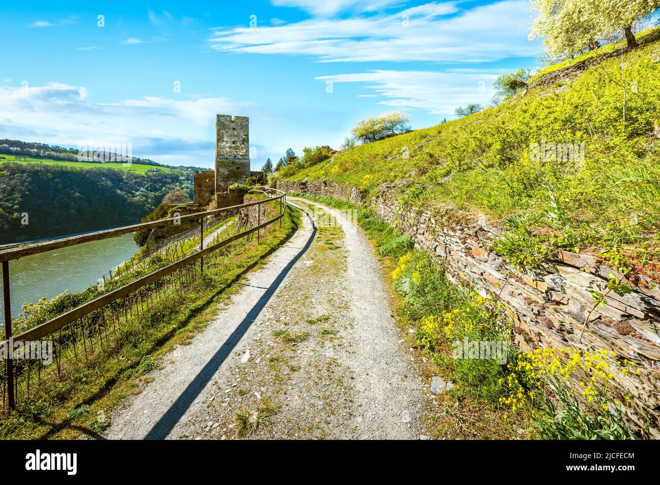 Gut erhaltenes und bewohntes Schloss Gutenfels bei Kaub (Mittelrhein) inmitten von Weinbergen am Rheinsteig, Stockfoto