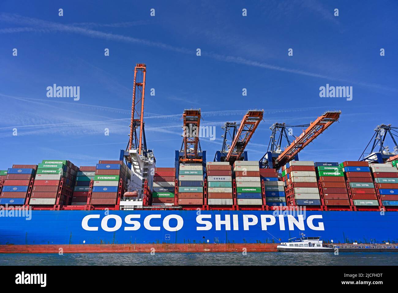Hafen von rotterdam (maasvlakte), niederlande – 2022-05-13: chinesisches Containerschiff cscl pacific Ocean (imo# 9695133) Be-/Entladung von Streithelfern an Stockfoto