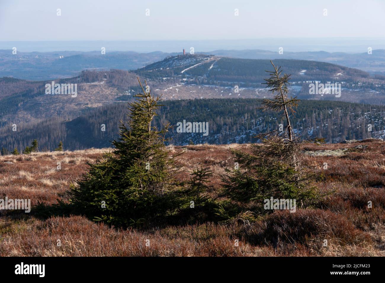 Blick vom Brocken nach Wurmberg, Sachsen-Anhalt, Deutschland Stockfoto