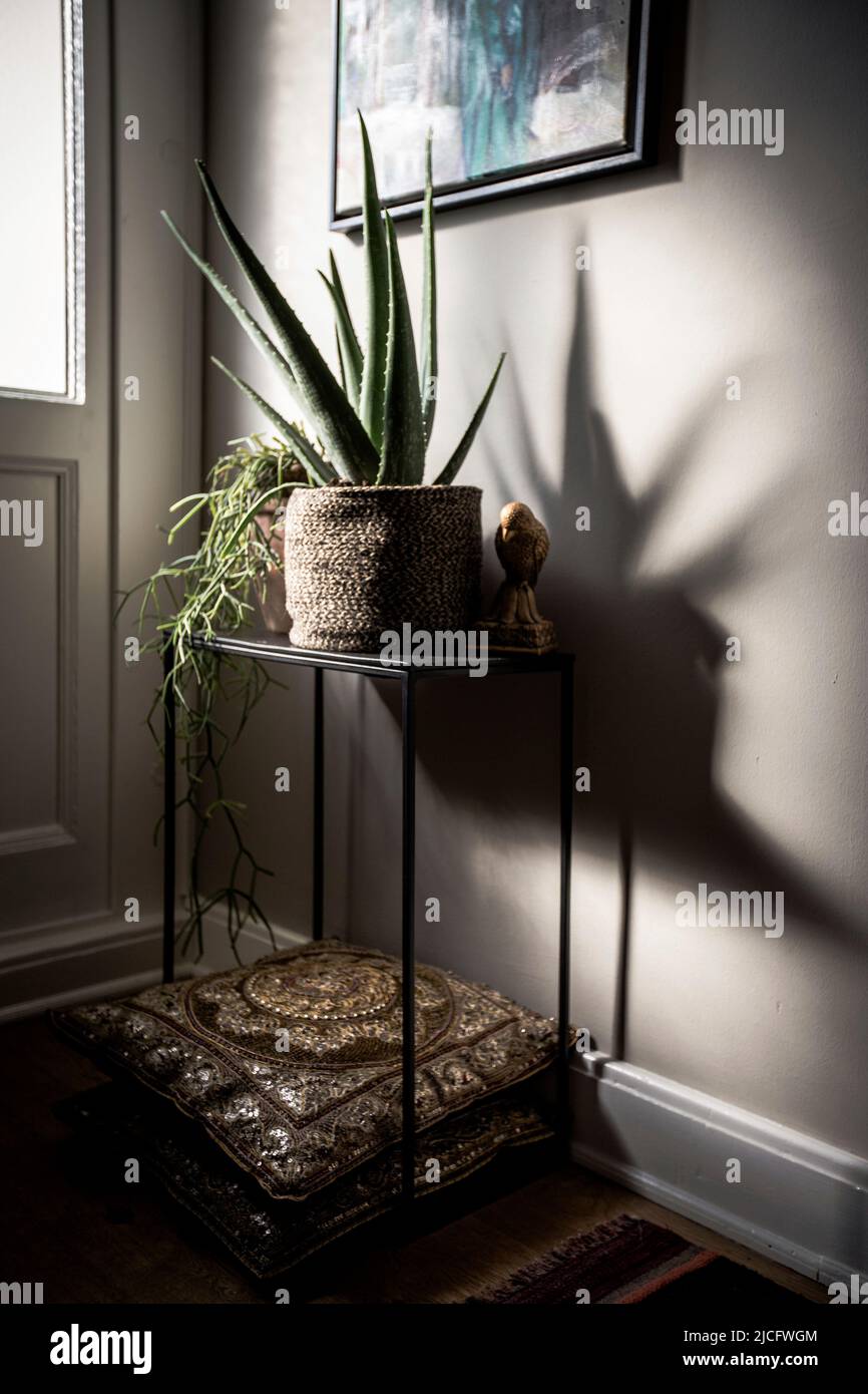 Dekorative Pflanzen mit Lichtern spielen in einer Altbauwohnung Stockfoto