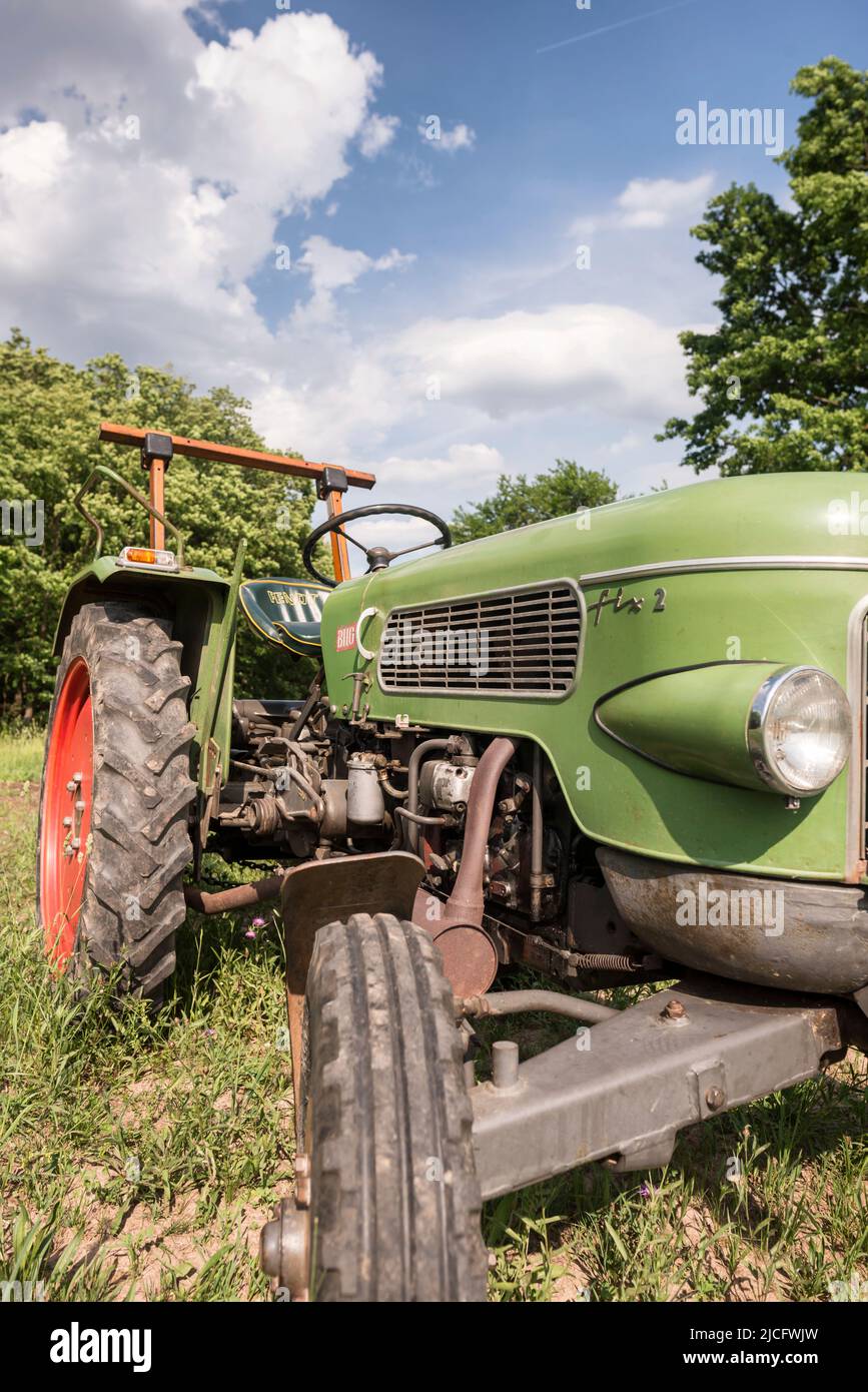 Michelstadt, Hessen, Fendt Dieselross Fix 2, Typ FL 120, Baujahr 1964, 19 ps, 1390 ccm. Stockfoto