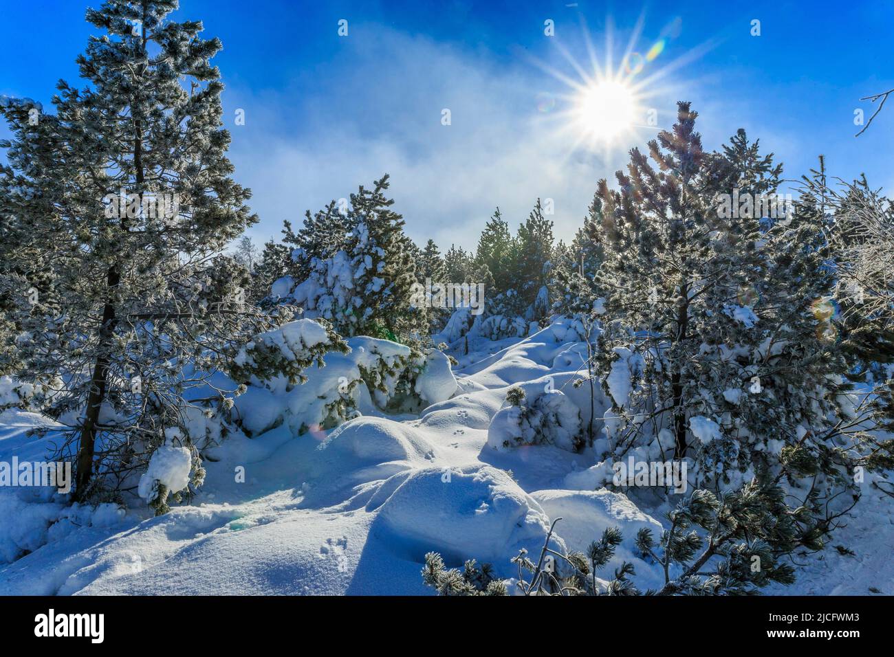 Am Wochenende lockte das schöne Wetter auch das Wintersportzentrum Ostererz in Altenberg/Zinnwald an. Stockfoto Am Wochenende lockte das schöne Wetter auch das Wintersportzentrum Ostererz in Altenberg/Zinnwald an. Stockfoto