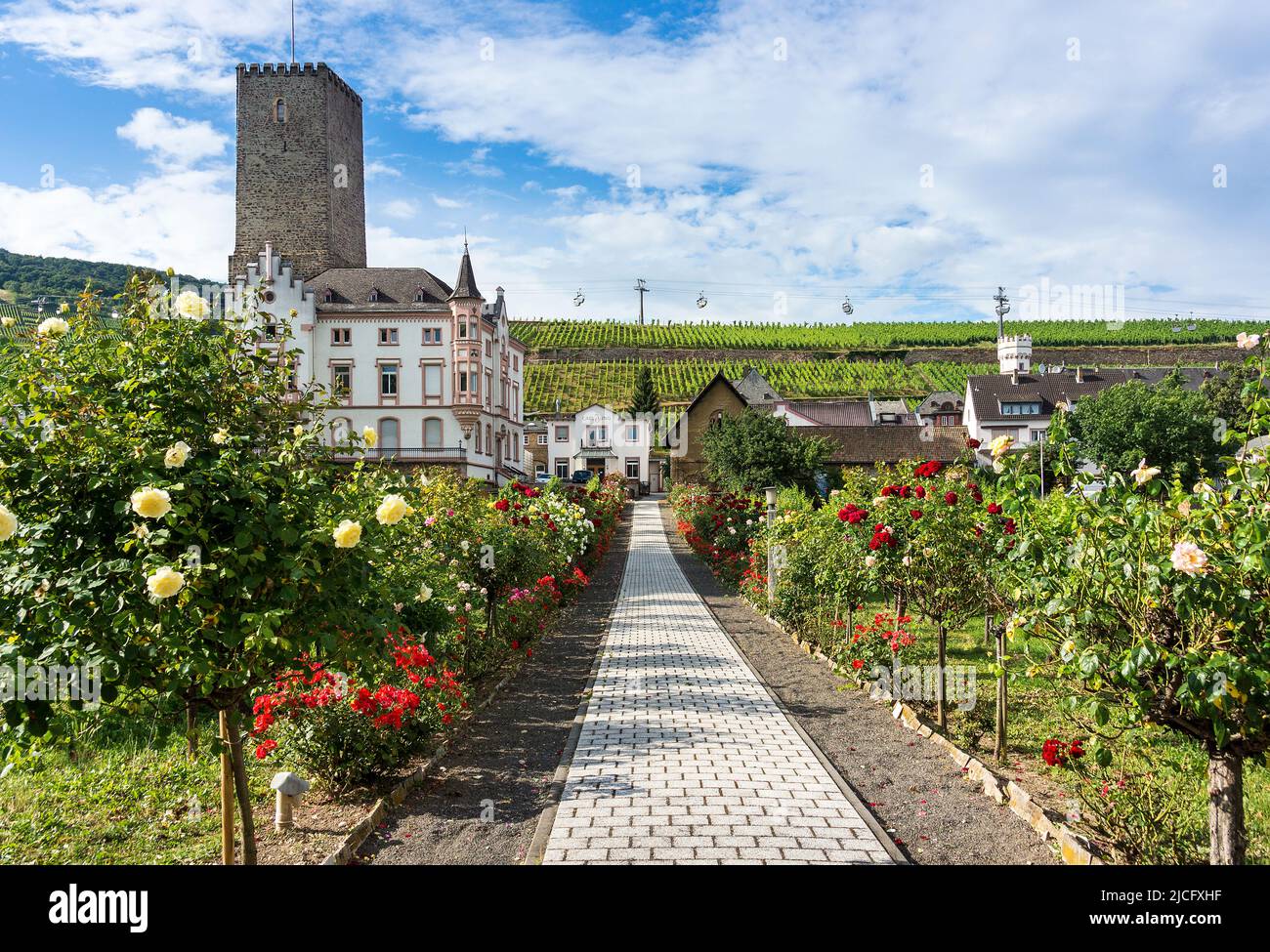 Deutschland, Hessen, Rheingau, Rüdesheim, Boosenburg, Teil des UNESCO-Weltkulturerbes „Oberes Mittelrheintal“ Stockfoto