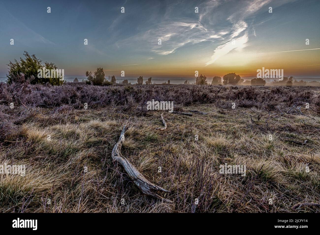 Am frühen Morgen im Nebel in der Lüneburger Heide mit weitem Blick auf die Landschaft Stockfoto