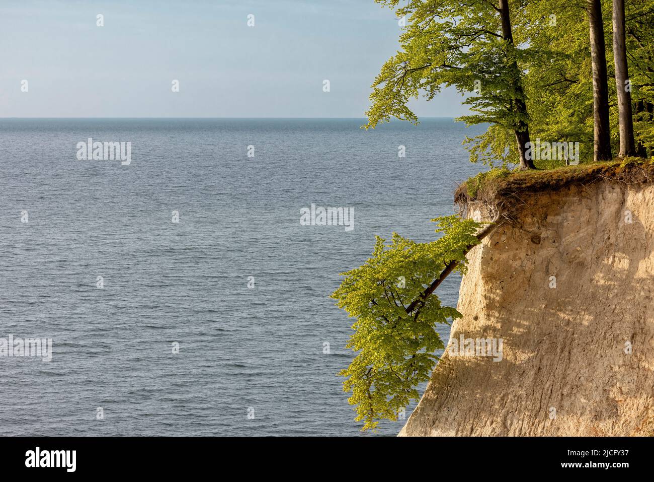 Blick vom Hochufer-Wanderweg im Nationalpark Jasmund auf der Insel Rügen auf die Ostsee und die Buchen am Abbruchrand Stockfoto