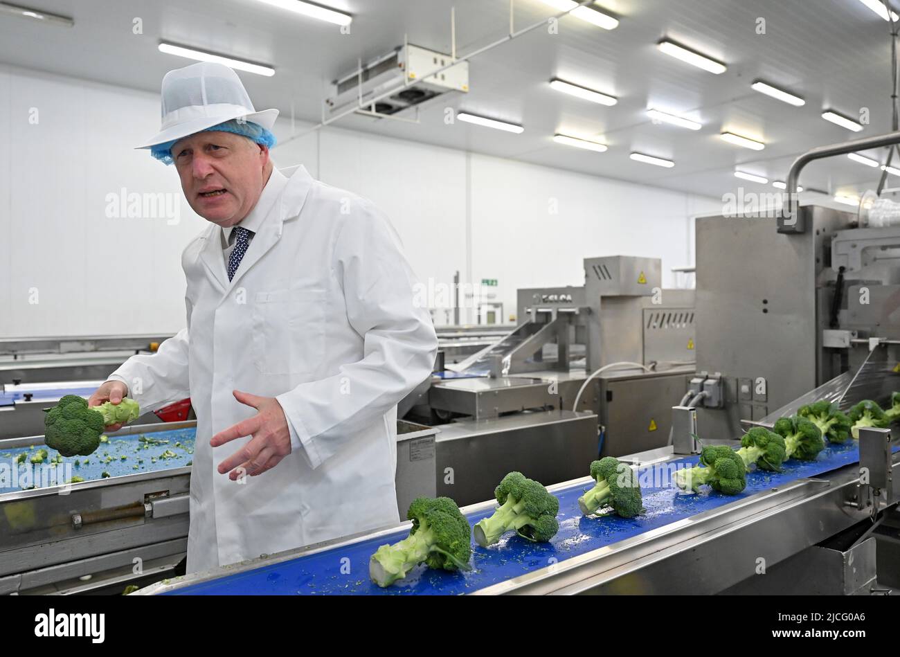 Premierminister Boris Johnson hilft bei der Auswahl von Brokkoli zum Verpacken während eines Besuchs bei Southern England Farms Ltd in Hayle, Cornwall, vor der Veröffentlichung des Weißbuches der britischen Regierung zur Lebensmittelstrategie, Cornwall. Bilddatum: Montag, 13. Juni 2022. Stockfoto