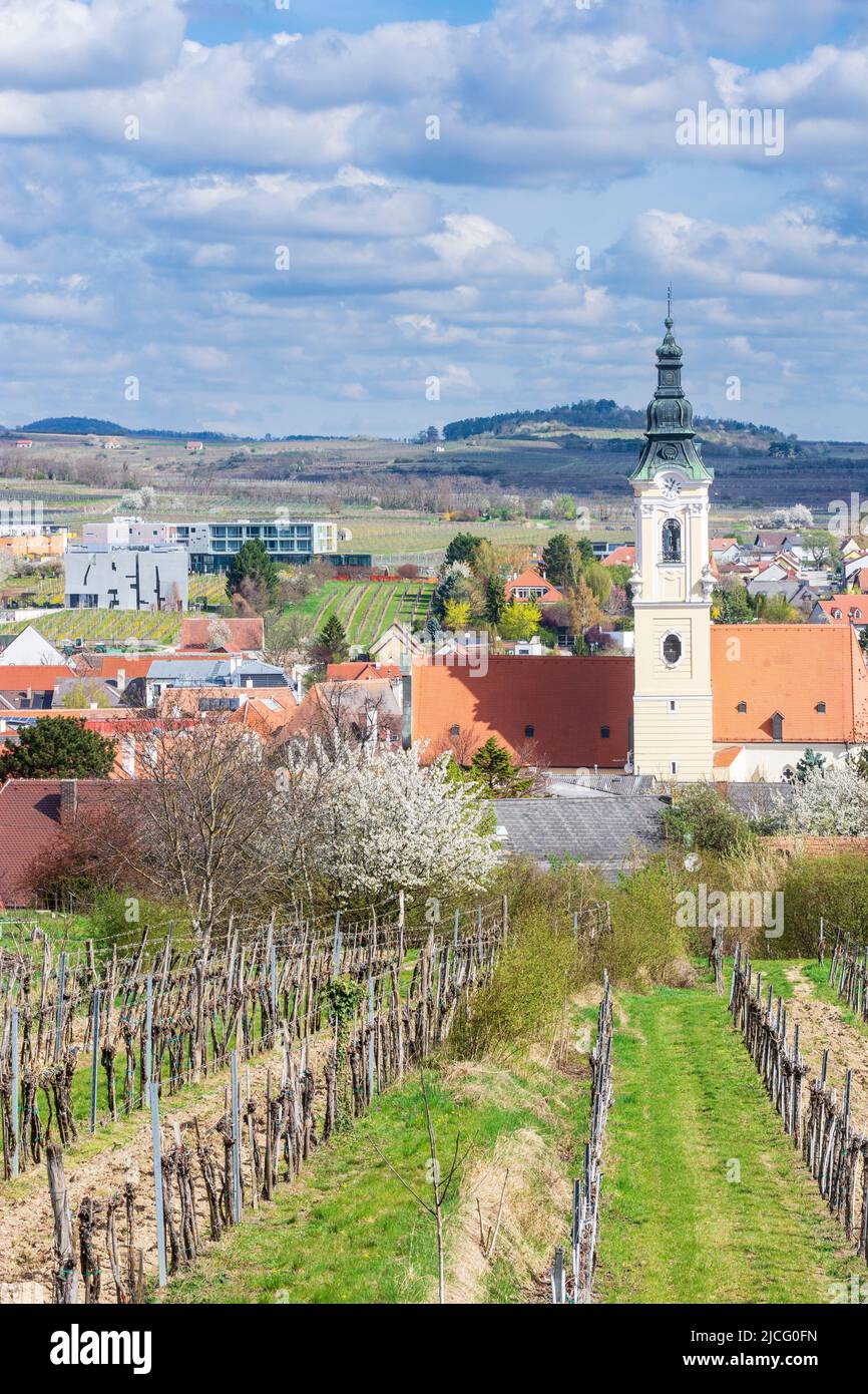 Loisium und kirche langenlois Fotos und Bildmaterial in hoher