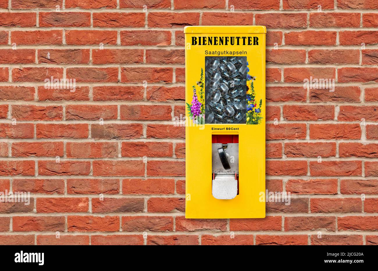 Samenkapseln im Automat für Wild- und Honigbienen gegen Artensterben (M) Stockfoto