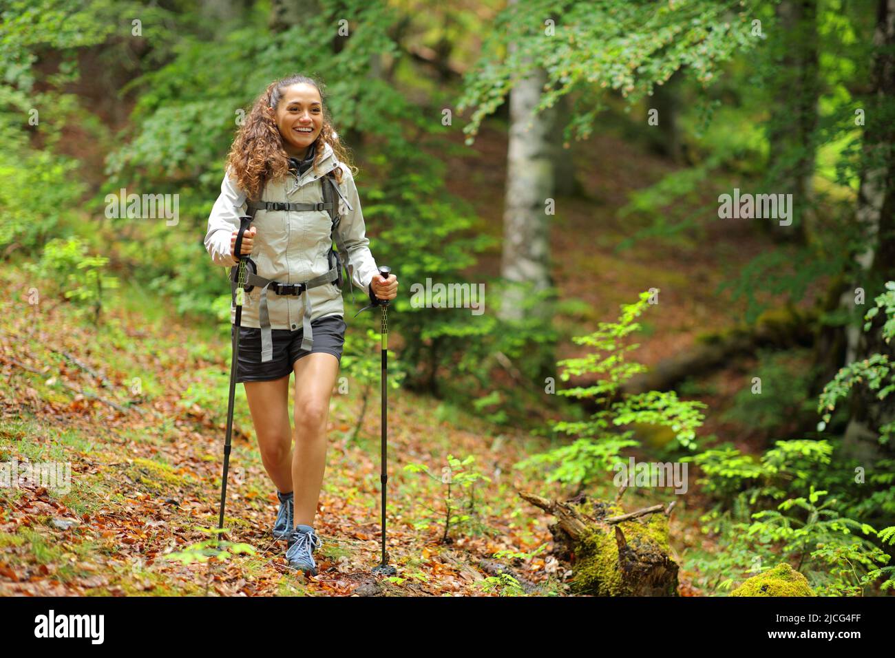 Vorderansicht Porträt eines glücklichen Wanderers, der in einem Wald spazierengeht Stockfoto