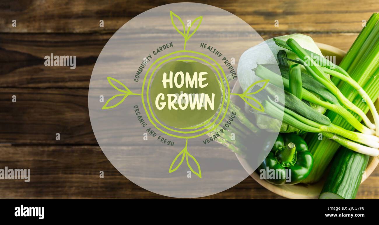 Bild von selbst angebauten veganen produzieren Text in grün, über Schüssel mit frischem Gemüse auf Holzbrettern Stockfoto