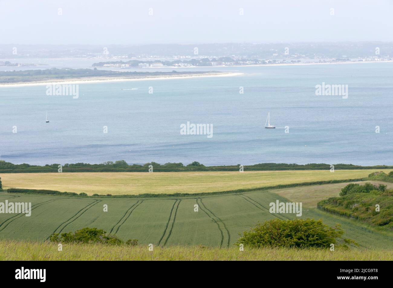 Blick in Richtung Studland Bay, Poole und Sandbanks, Dorset, England Stockfoto