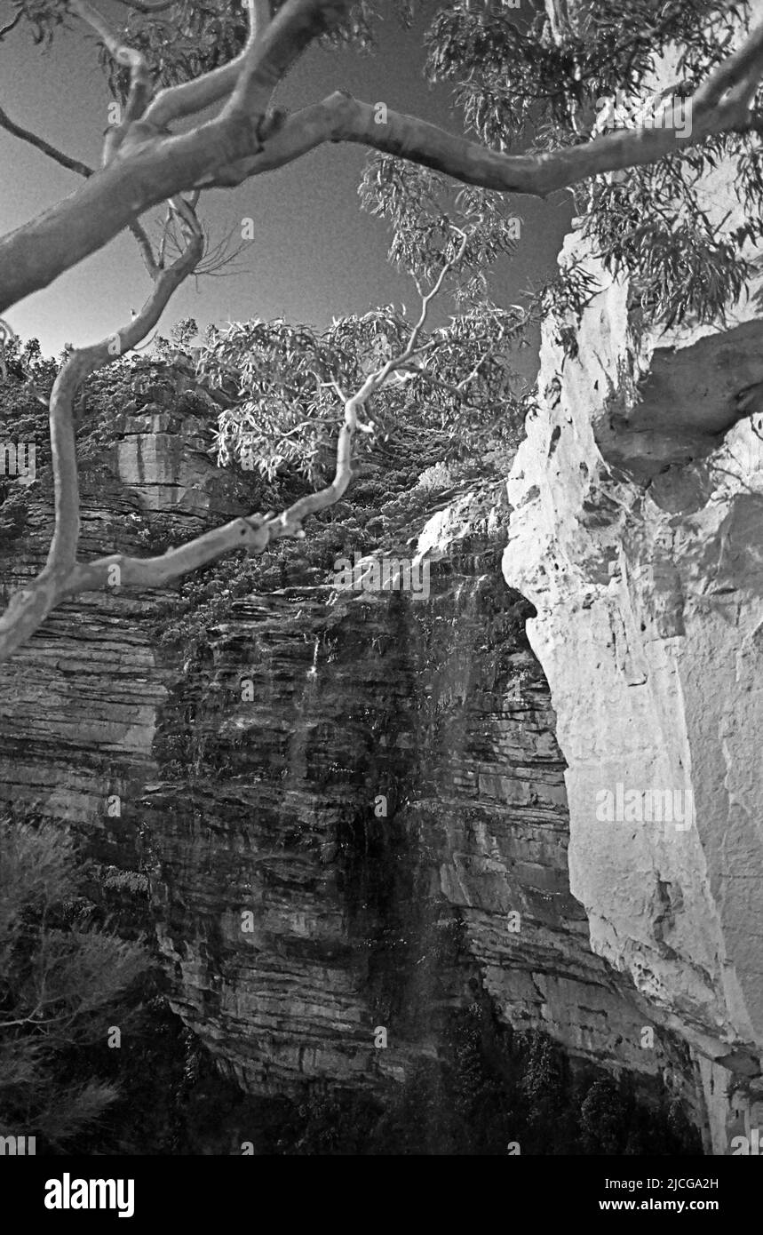 Der Hauptwasserfall der Wentforth Falls, Blue Mountains, NSW, Australien: Ein langer Tropfen. Schwarzweiß-Filmfoto Stockfoto