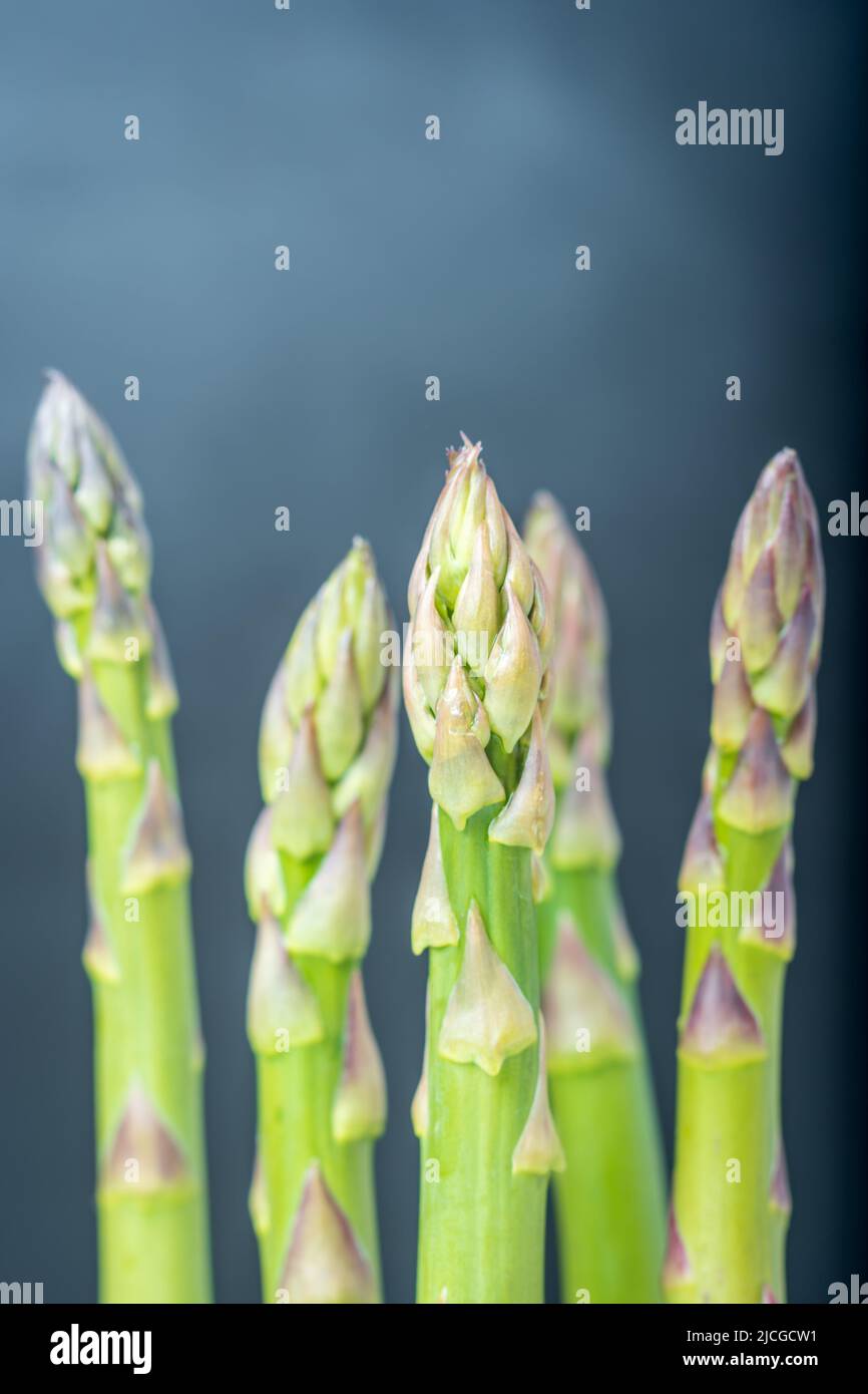 Frischer Spargel schießt auf dunklem Hintergrund Stockfoto