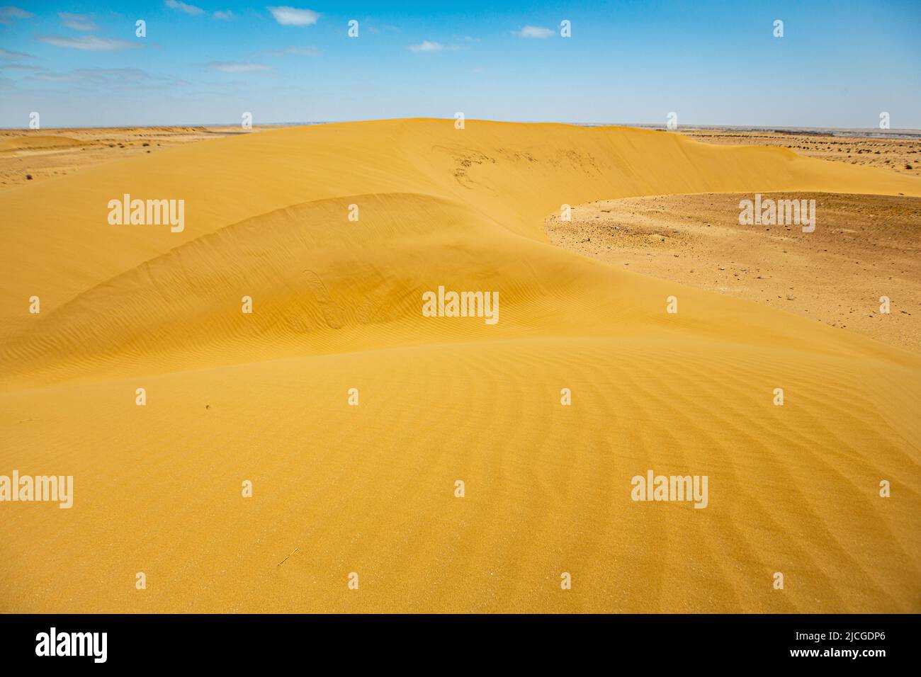 Die Sanddünen der marokkanischen sahara Stockfoto